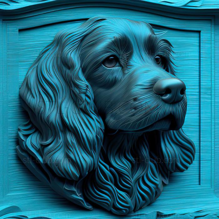 st Blue Picardy Spaniel dog